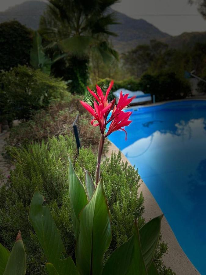 Hotel 212 Olympos Bagian luar foto